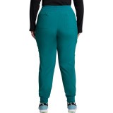 DK065 Dickies EDS Essentials Mid Rise Jogger 6 Pocket Cargo Pant